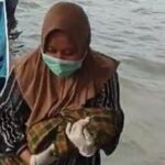 Aksi Heroik Bidan Pesisir Bantu Persalinan Selamatkan Ibu Hamil Diatas Perahu