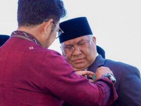 Gubernur Sultra Terima Penghargaan Dari Presiden RI Joko Widodo