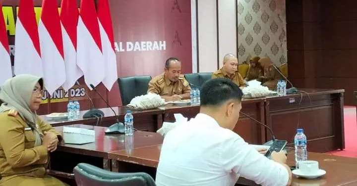 Bem Fisip UHO Gelar Seminar Literasi