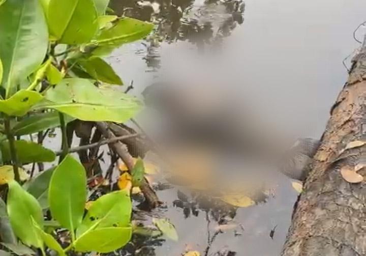 Warga Konawe Dikagetkan Mayat Pria Mengambang di Sungai Motui